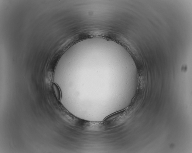 X0000096720093200802261704