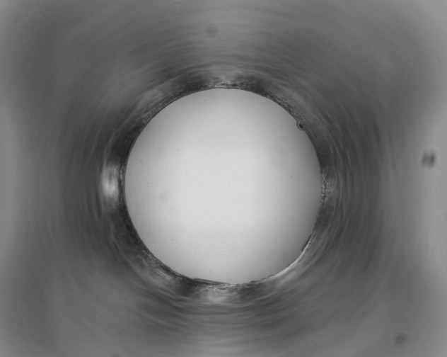 X0000096720094200802261705