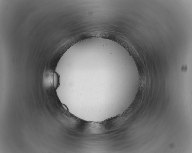 X0000096720095200802261705