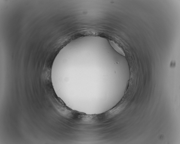 X0000096720096200802261705