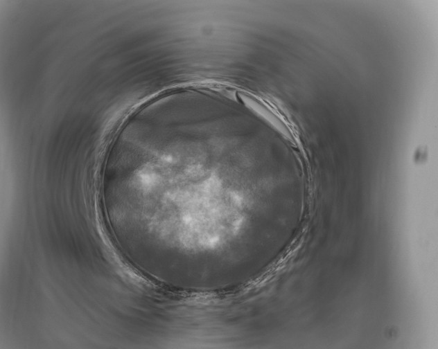 X0000096720097200802261704