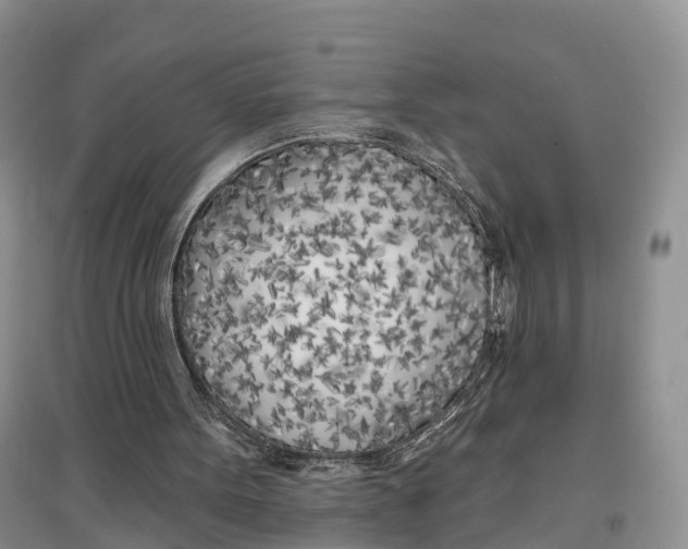 X0000096720099200802261704