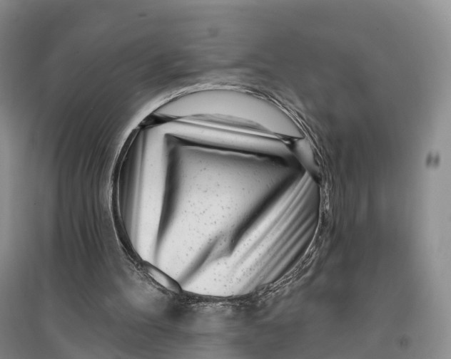 X0000096720100200802261704