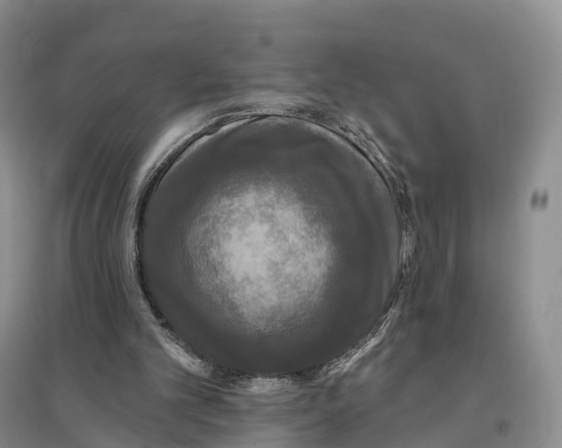 X0000096720101200802261704