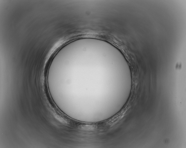 X0000096720102200802261704