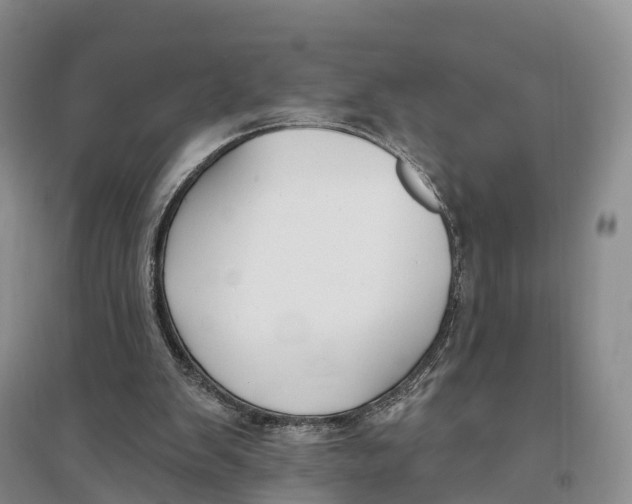 X0000096720103200802261704