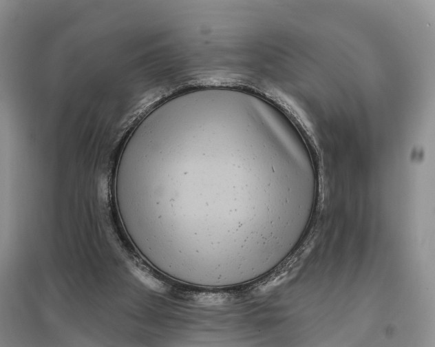 X0000096720105200802261704