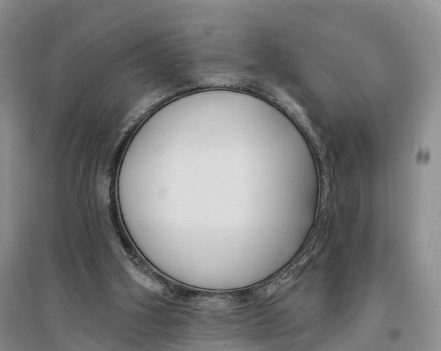 X0000096720106200802261704