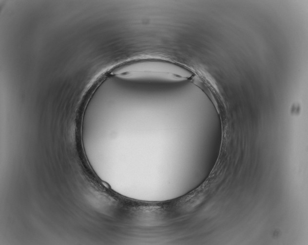 X0000096720108200802261704