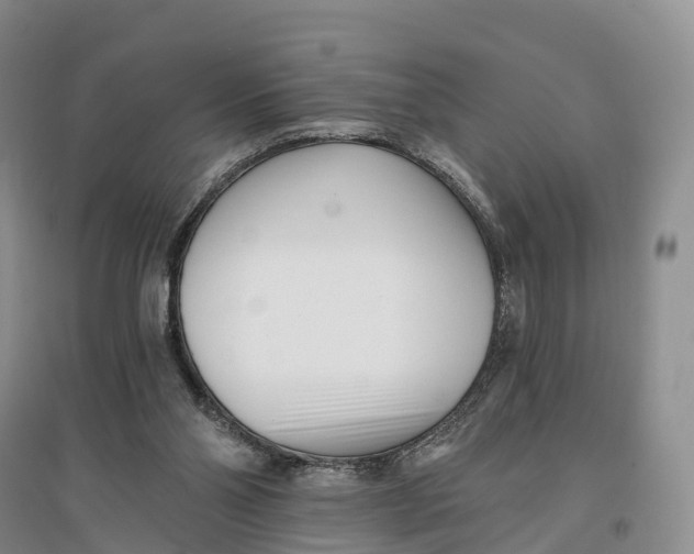 X0000096720110200802261704