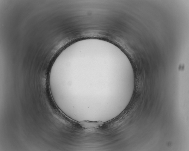 X0000096720111200802261704