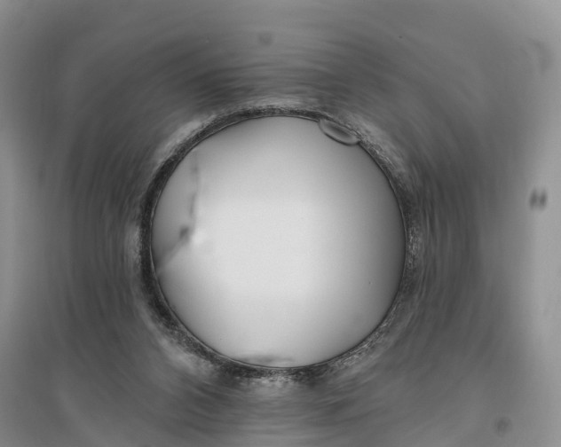 X0000096720112200802261704