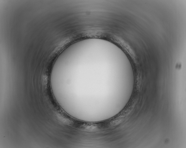 X0000096720113200802261704