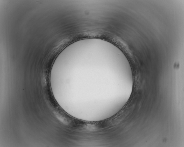 X0000096720114200802261704