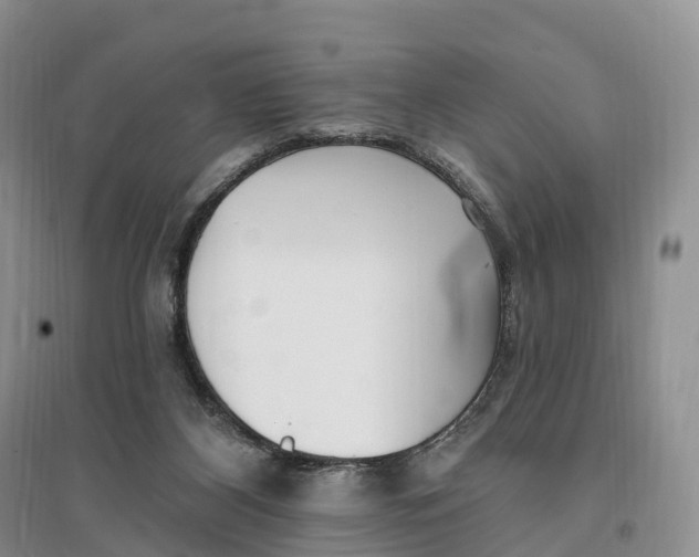 X0000096720116200802261703