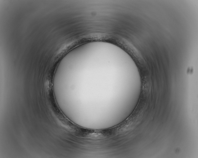 X0000096720119200802261703