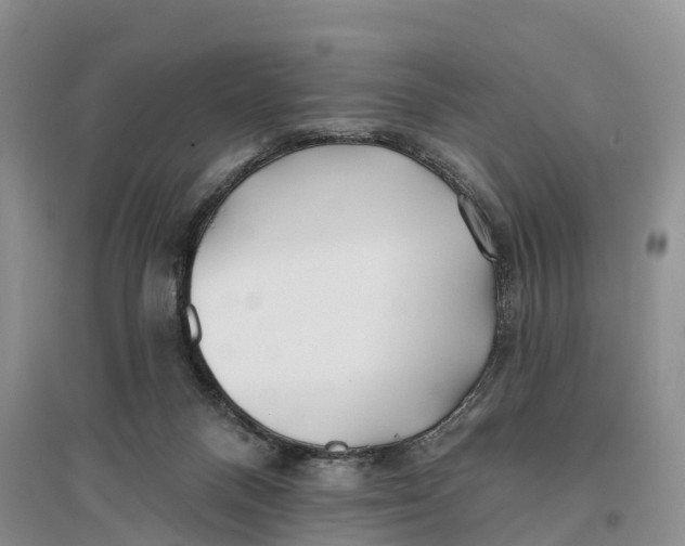 X0000096720120200802261703