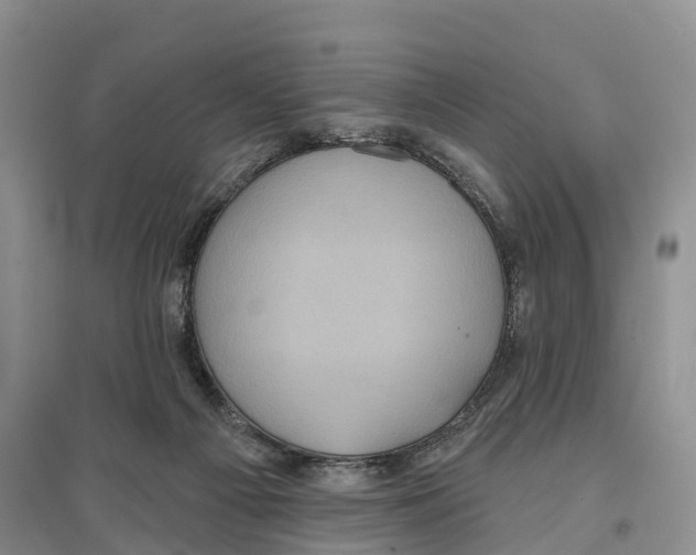 X0000096720121200802261703