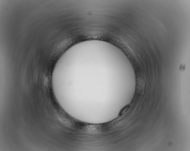 X0000096720126200802261703