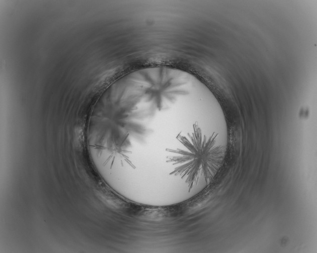 X0000096720127200802261703