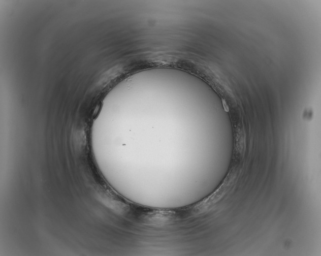 X0000096720128200802261703