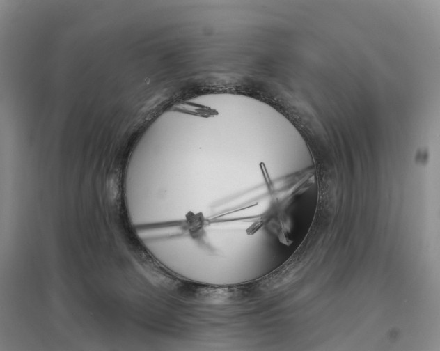 X0000096720131200802261703