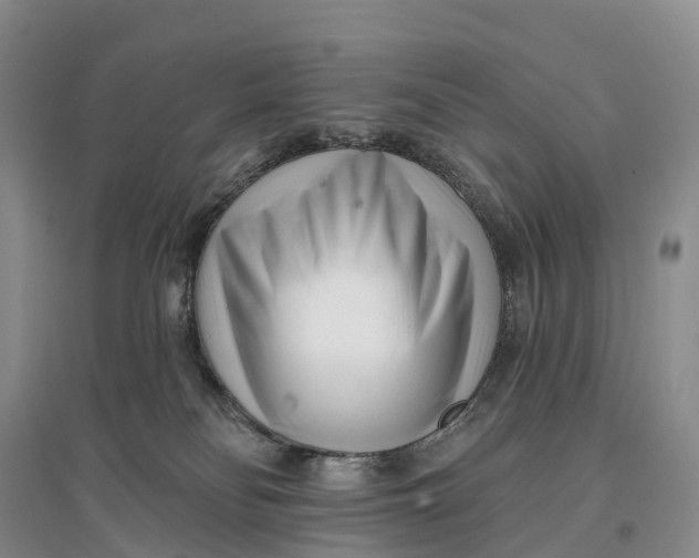 X0000096720134200802261703