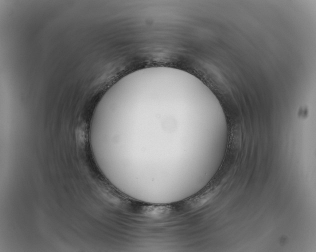 X0000096720135200802261703