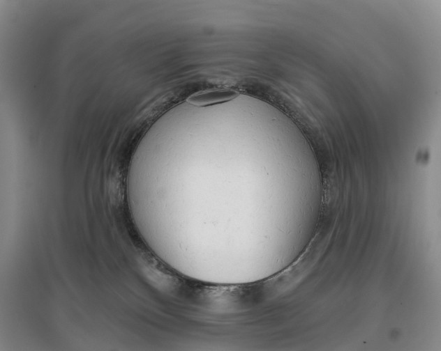 X0000096720136200802261703