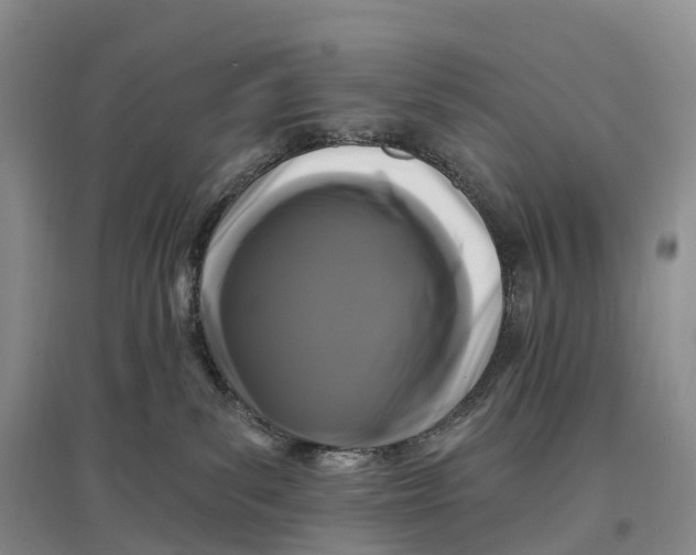 X0000096720139200802261703