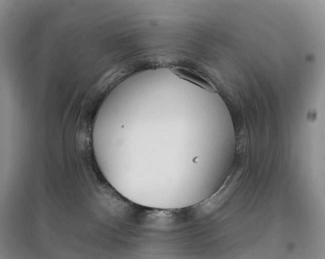 X0000096720140200802261703