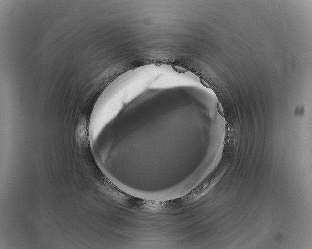 X0000096720143200802261703