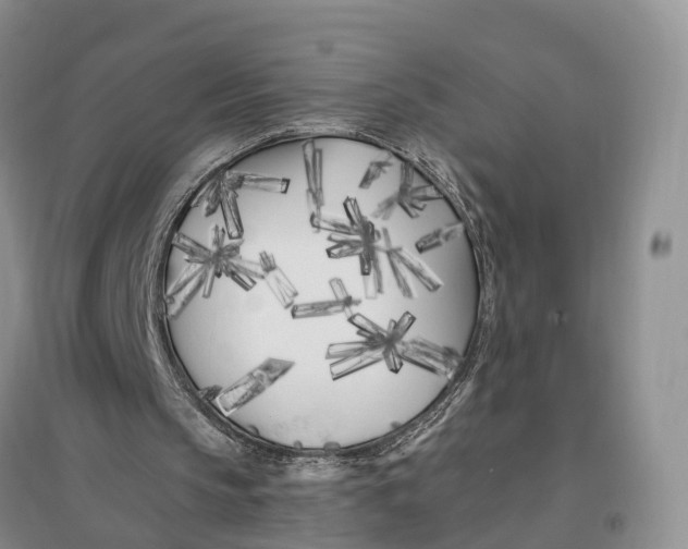 X0000096720145200802261702