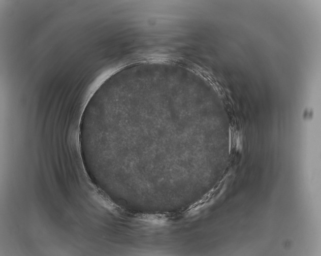 X0000096720147200802261702