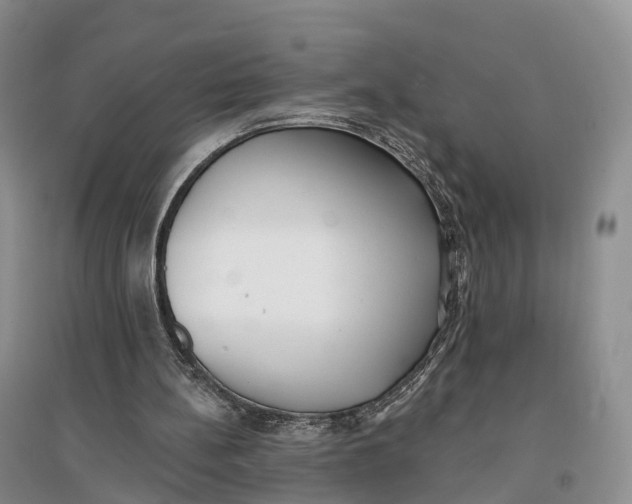 X0000096720148200802261702