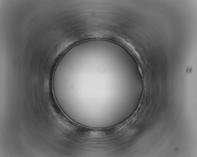 X0000096720154200802261702