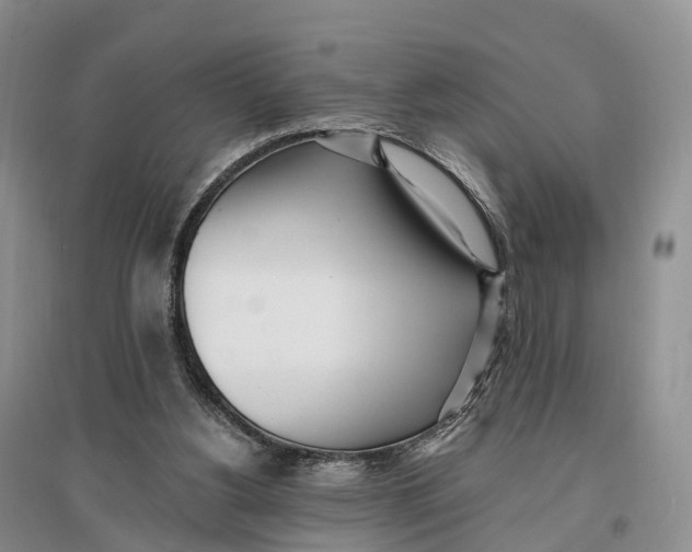 X0000096720156200802261702