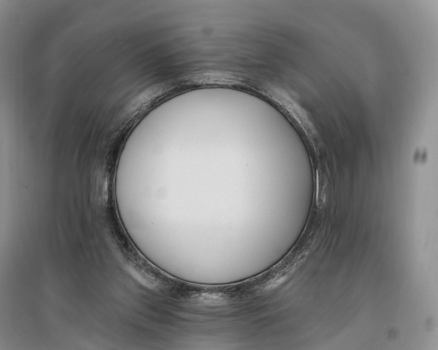 X0000096720157200802261702