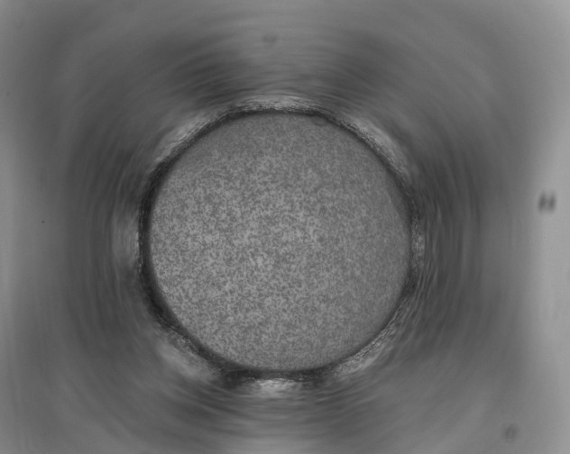 X0000096720158200802261702