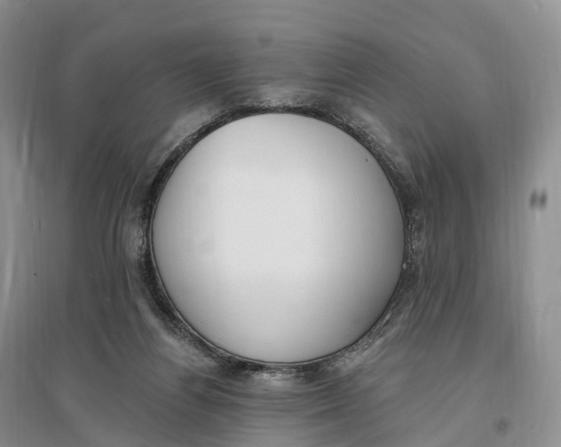 X0000096720164200802261703