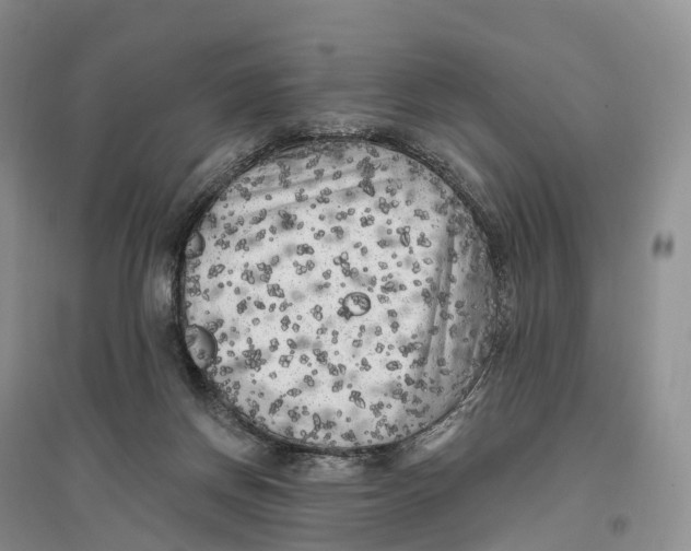 X0000096720166200802261703