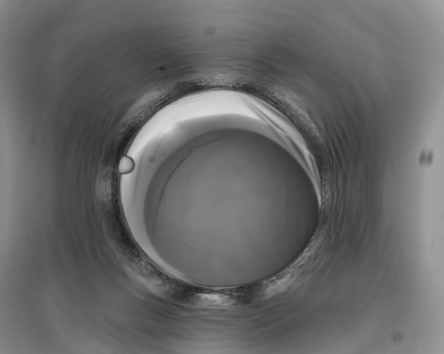 X0000096720167200802261703