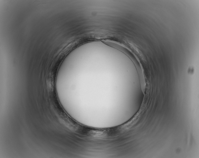 X0000096720170200802261703