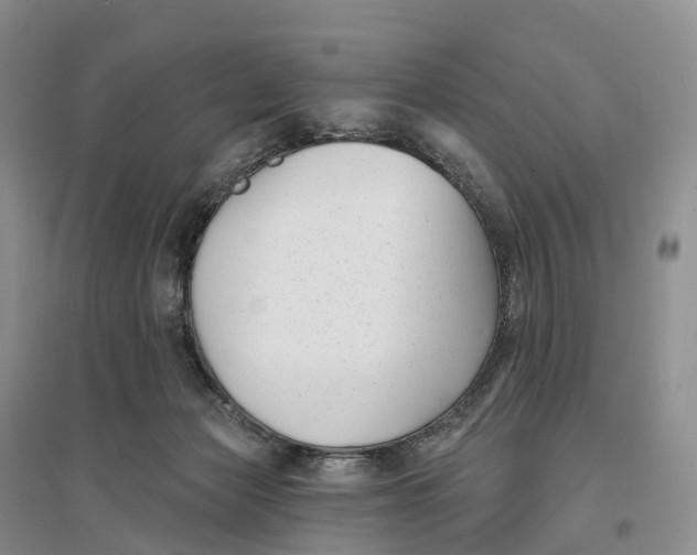 X0000096720173200802261703