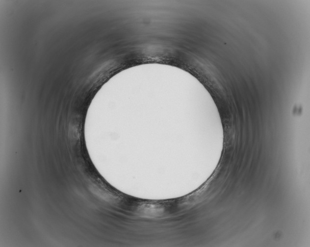 X0000096720174200802261703