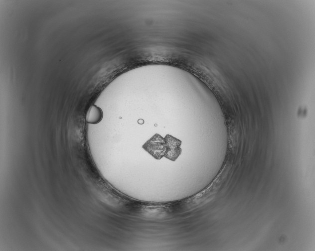 X0000096720175200802261703