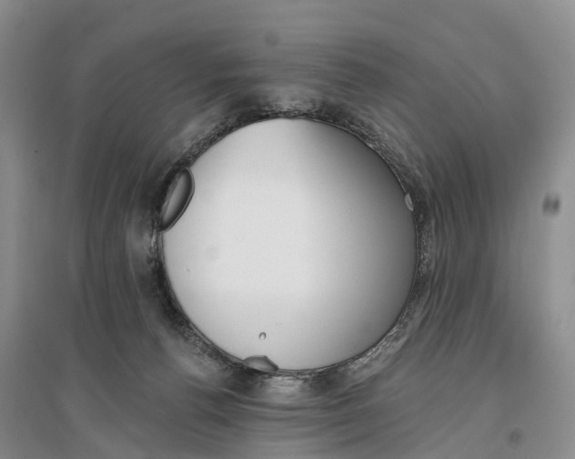 X0000096720176200802261703