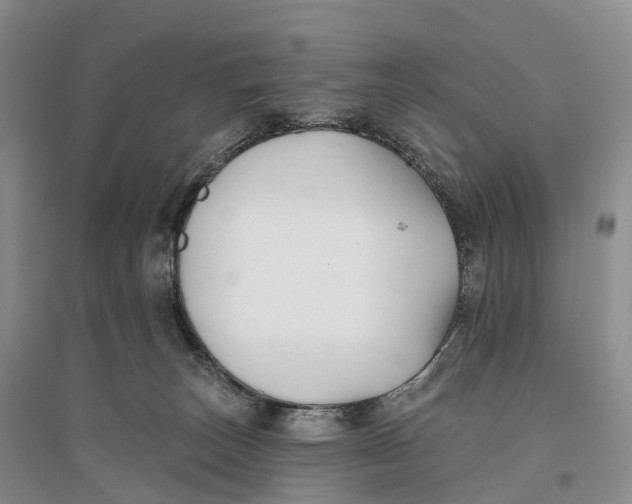 X0000096720179200802261703