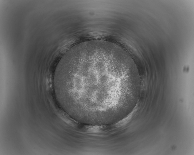 X0000096720182200802261703