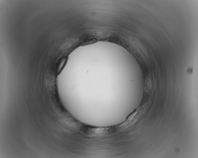 X0000096720184200802261703